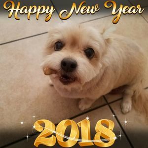 Meet your Posher, Celeste